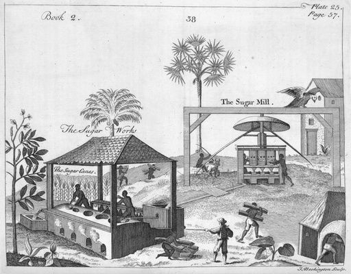 DU TERTRE, Jean Baptiste. Sugar Works, French West Indies, 17th cent., in  Histoire Générale des Antilles (1667). Pierre Pomet, A complete history of drugs. Written in French by monsieur Pomet... (London, 1748, 4th ed.), facing p. 57